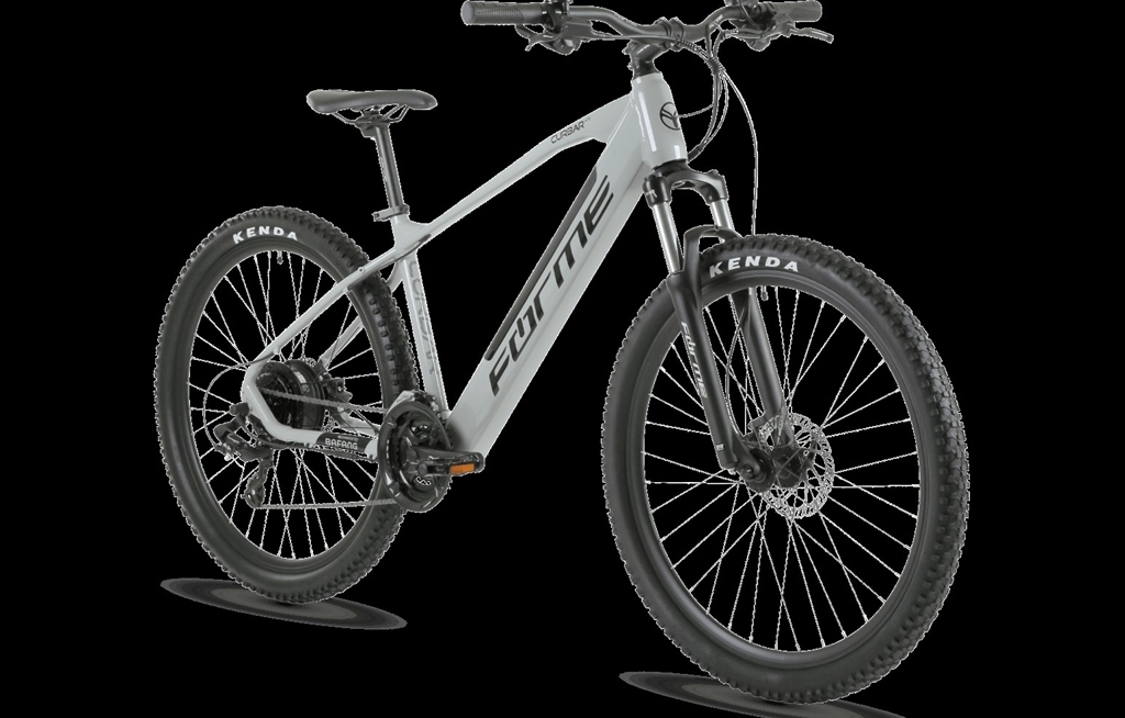 Electric MTB